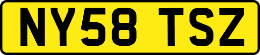NY58TSZ
