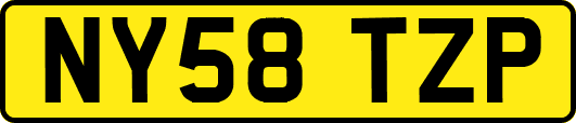 NY58TZP