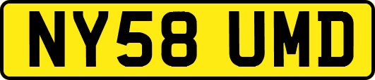 NY58UMD