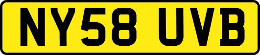 NY58UVB
