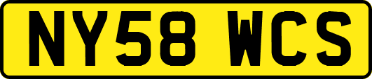 NY58WCS