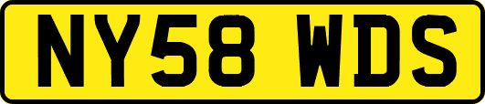 NY58WDS