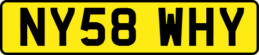 NY58WHY