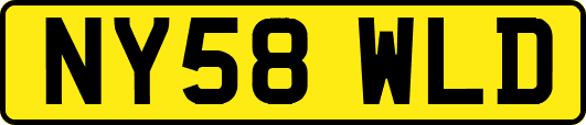 NY58WLD