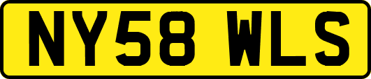 NY58WLS