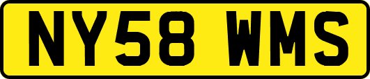 NY58WMS