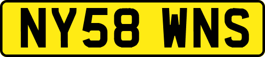 NY58WNS