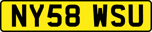 NY58WSU