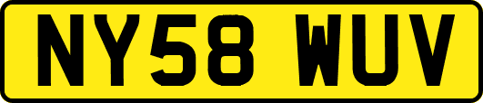 NY58WUV
