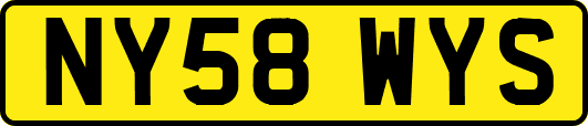 NY58WYS