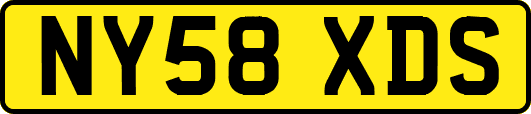 NY58XDS