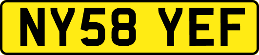 NY58YEF
