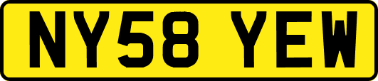 NY58YEW