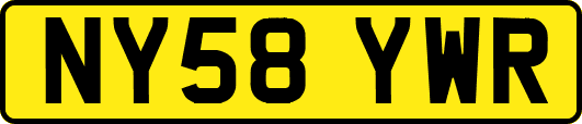 NY58YWR