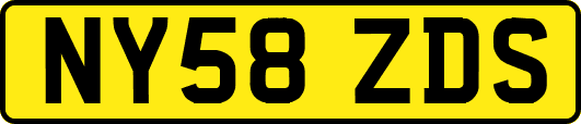 NY58ZDS