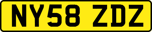 NY58ZDZ