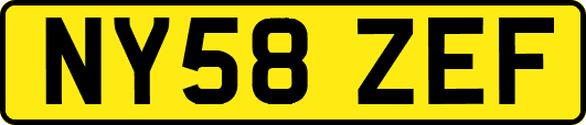 NY58ZEF