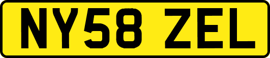 NY58ZEL