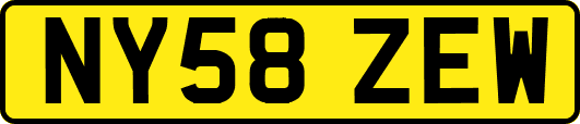 NY58ZEW