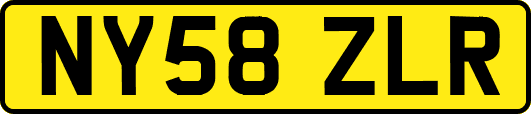 NY58ZLR