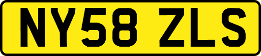 NY58ZLS