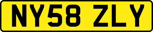 NY58ZLY