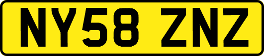 NY58ZNZ