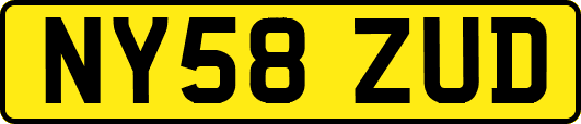 NY58ZUD