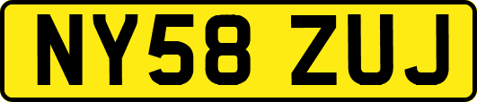NY58ZUJ
