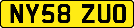 NY58ZUO