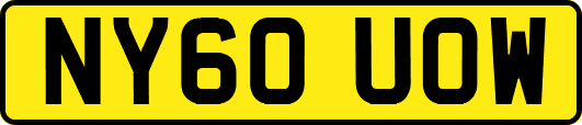NY60UOW