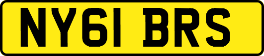 NY61BRS