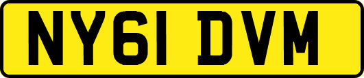 NY61DVM