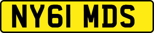 NY61MDS