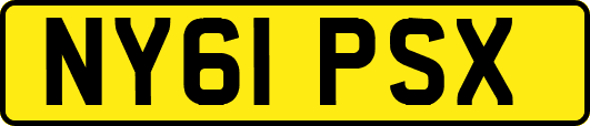 NY61PSX