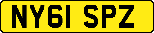 NY61SPZ