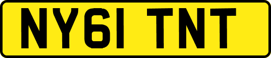 NY61TNT