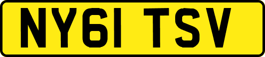NY61TSV