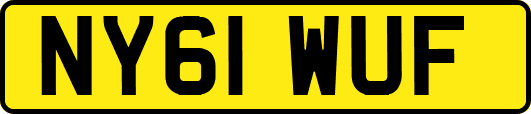 NY61WUF