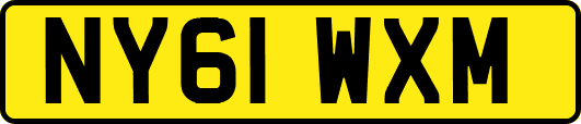 NY61WXM