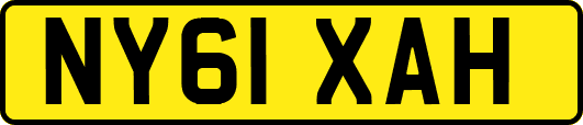 NY61XAH