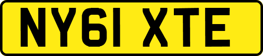 NY61XTE