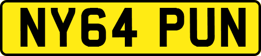 NY64PUN