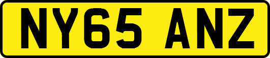 NY65ANZ