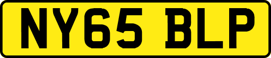 NY65BLP