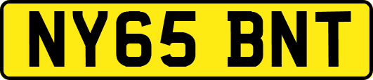 NY65BNT