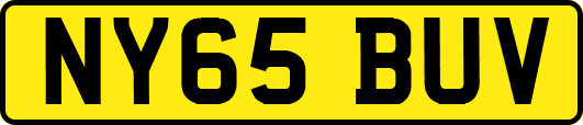 NY65BUV