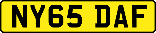 NY65DAF