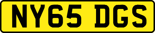 NY65DGS