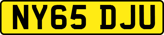 NY65DJU